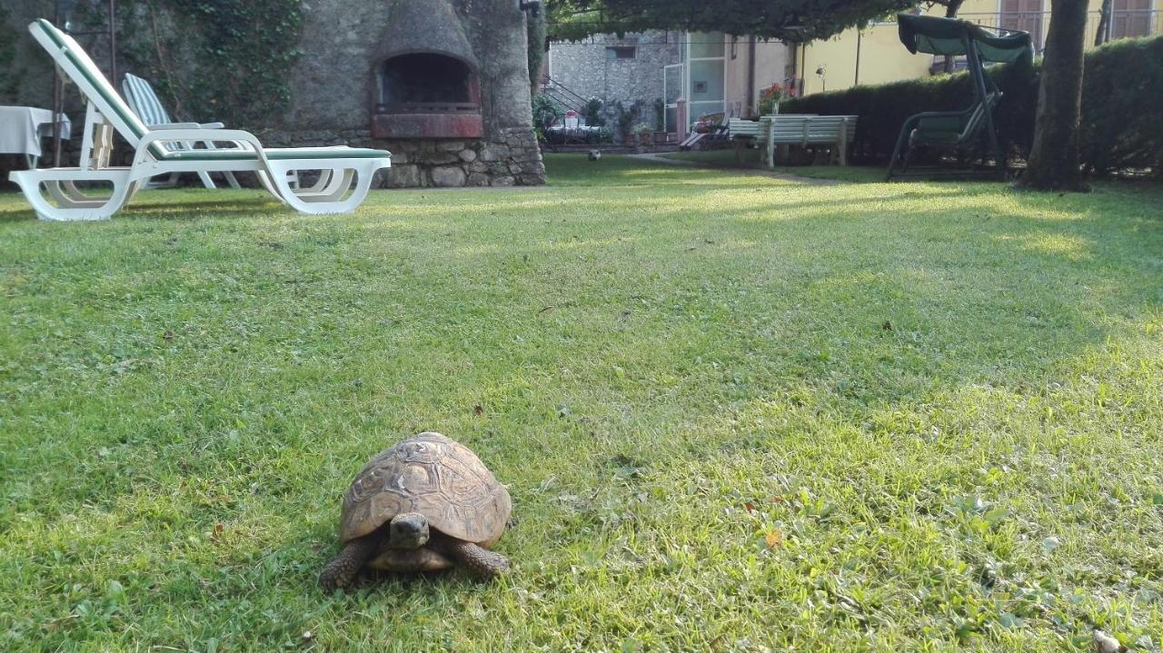 Corte Faliva Brenzone sul Garda Eksteriør bilde